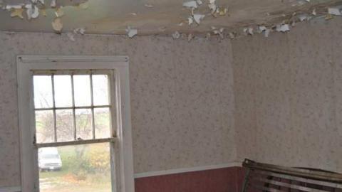 Oct. 2012 - DSC_0063.jpg