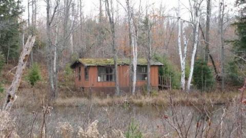 Oastler Lake Trailer Park photo 2