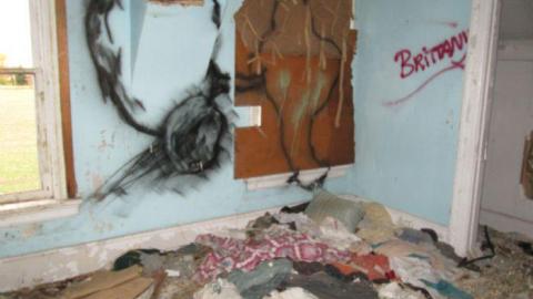 The Langs - Trashed-(near-Holly)21.jpg