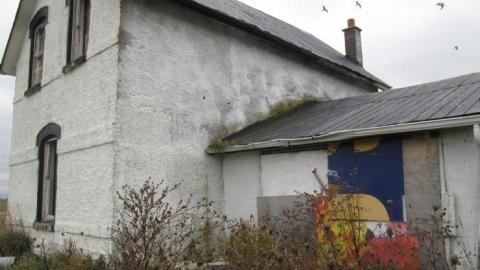 The Langs - Trashed-(near-Holly)23.jpg