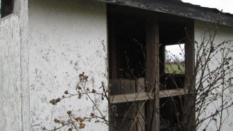 The Langs - Trashed-(near-Holly)31.jpg