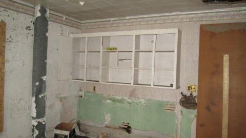 The Langs - Trashed-(near-Holly)37.jpg