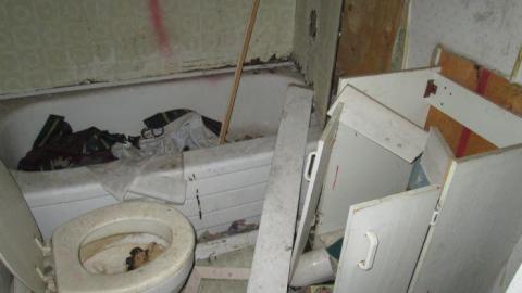 The Langs - Trashed-(near-Holly)33.jpg