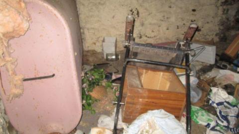 Photo from The Langs