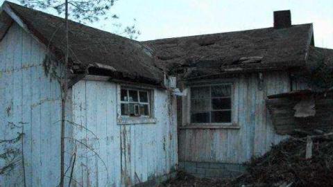 Gallery - DSCF0103 1.jpg