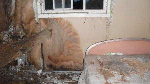 Gallery - DSCF0108 1.jpg