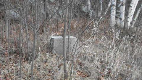 Gallery - Hwy-522-Houses11.jpg