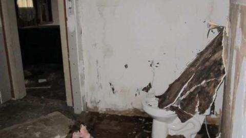 Bowen Farm - Old-Bowen-Road-Farm4.jpg