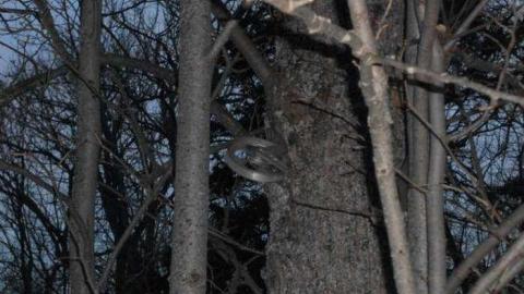 Gallery - Hwy-522-Houses19.jpg