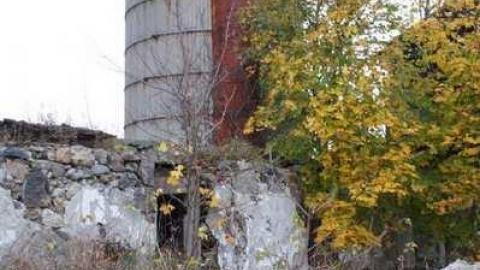 Still Standing... barely - Dickson-Hill-House18.jpg