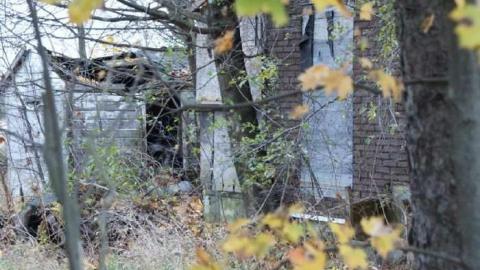 Still Standing... barely - Dickson-Hill-House20.jpg