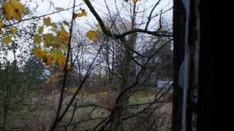 Still Standing... barely - Dickson-Hill-House8.jpg