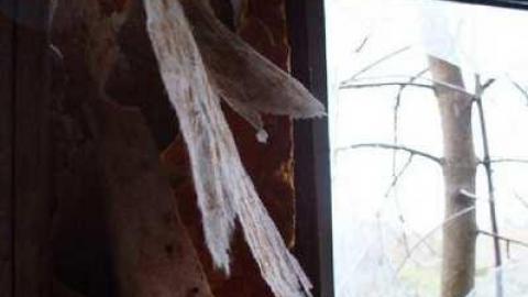 Still Standing... barely - Dickson-Hill-House3.jpg