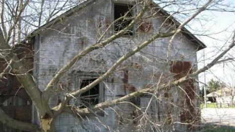 Photo from Bella Belwood