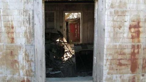 Photo from Bella Belwood