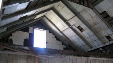 Bella Belwood - Wellington-Rd-2612.jpg