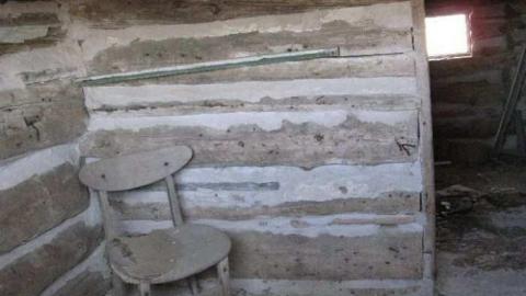 Bella Belwood - Wellington-Rd-2614.jpg