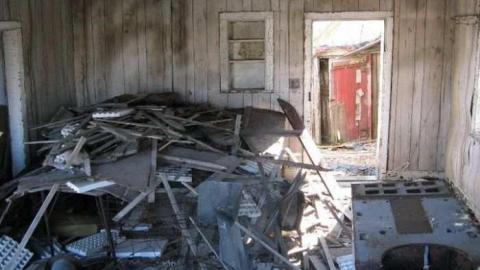 Bella Belwood - Wellington-Rd-2615.jpg