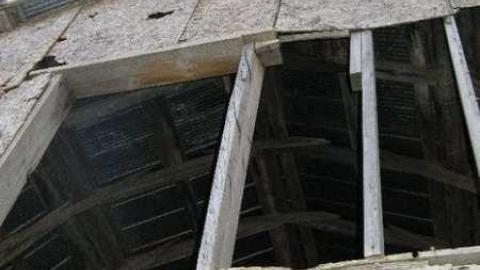 Bella Belwood - Wellington-Rd-266.jpg