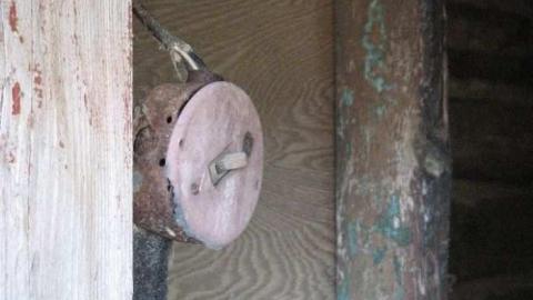 Bella Belwood - Wellington-Rd-2616.jpg