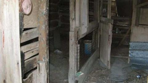 Bella Belwood - Wellington-Rd-267.jpg