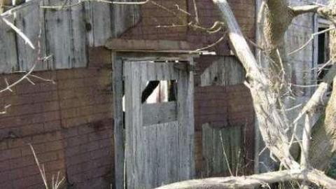 Photo from Bella Belwood