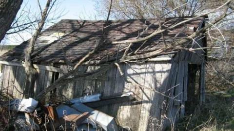 Bella Belwood - Wellington-Rd-268.jpg