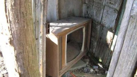 Bella Belwood - Wellington-Rd-2618.jpg