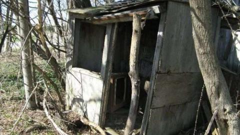 Bella Belwood - Wellington-Rd-2619.jpg