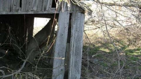 Bella Belwood - Wellington-Rd-2620.jpg