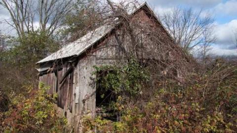 Miller Rd. - Miller Rd (3).jpg