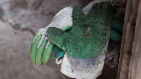 Photo from Miller Rd.