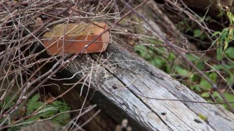 Miller Rd. - Miller Rd (7).jpg