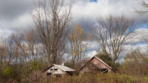 Miller Rd. - Miller Rd (9).jpg