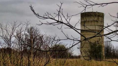 Logan Ruins - Weird-Grass-(aka-Logan-Ruins)1.jpg