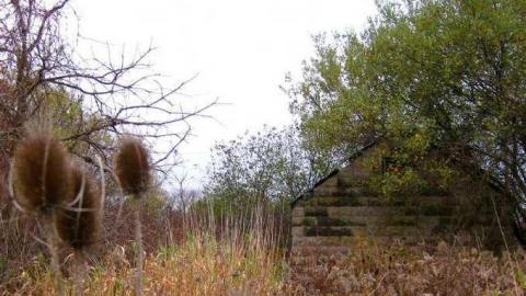 Logan Ruins - Weird-Grass-(aka-Logan-Ruins)3.jpg