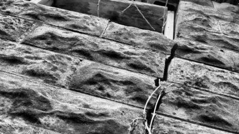 Logan Ruins cover photo