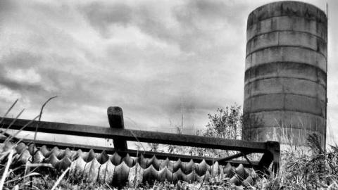 Weird Grass (aka Logan Ruins) - Niagara Falls, Ontario