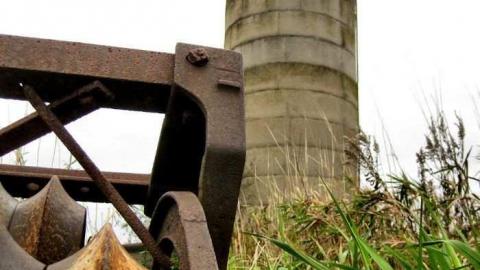 Weird Grass (aka Logan Ruins) photo 5