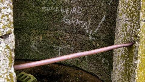 Logan Ruins - Weird-Grass-(aka-Logan-Ruins)12.jpg