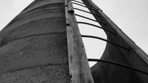 Logan Ruins - Weird-Grass-(aka-Logan-Ruins)2.jpg