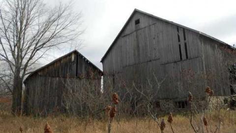 Field Day - Log-Cabin-and-Barns15.jpg
