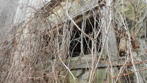 Photo from Field Day