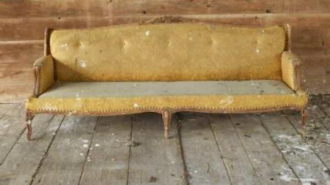 Photo from Field Day