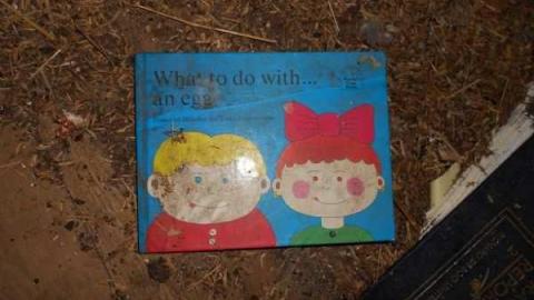 Field Day - Log-Cabin-and-Barns23.jpg