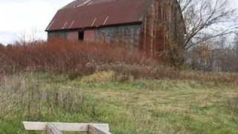 No Life on Fife photo 2