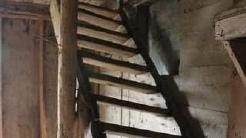 No Life on Fife photo 5