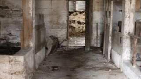 Gloomy Day on Fife - Fife1104128.jpg