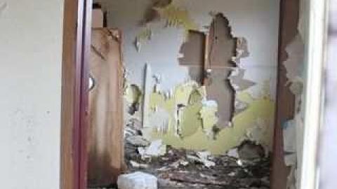 Gloomy Day on Fife - Fife11041215.jpg