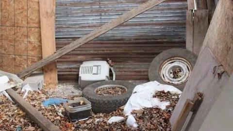 Gloomy Day on Fife - Fife11041217.jpg